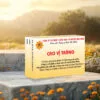 Cao Vị Tràng (Đầy bụng, ợ hơi, ợ chua)